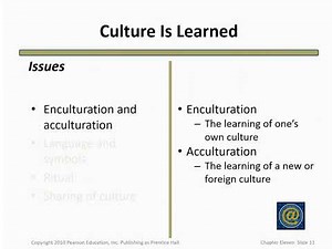 Chapter 10 Culture and its influence on consumer behavior