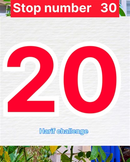 Reaction Speed Challenge | Harif Challenge