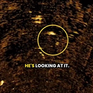 3.2K views · 44 reactions | Barra Fishing at Night | Tackling Australia | Facebook