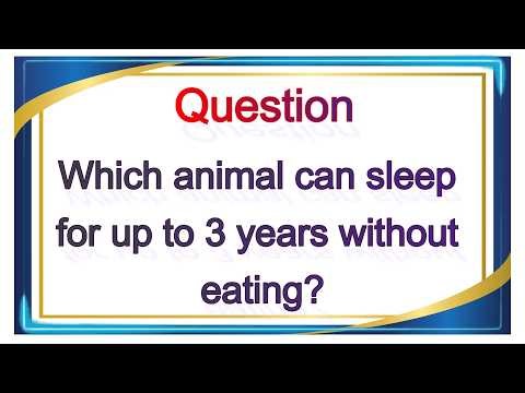 General Knowledge Quiz 2026 🌍 | Test Your Brain Now! e025 #gkquestions #quiz