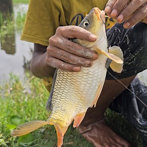 408K views · 6.9K reactions | Traditional Hook Fishing | Hook Fishing | Fishing With Beautiful Nature (Part-17) #fishing #hookfishing #fishing24 | Fishing 24 | Facebook