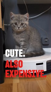 If you know, you know. Nimble it and move on. | Nimble Australia