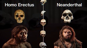 10K views · 188 reactions | New Human Species Discovered That've Raised Doubts On Human Origins 樂 #getsetflyscience #humanevolution #originofspecies | Gaurav Thakur | Facebook
