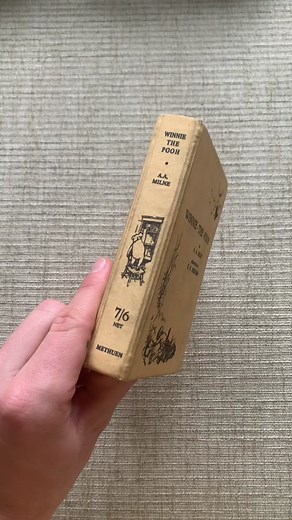 Novel bookwallets on TikTok