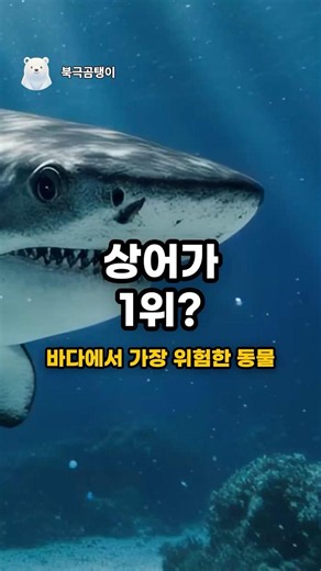상어보다 더 위험한 바다 생물 TOP5