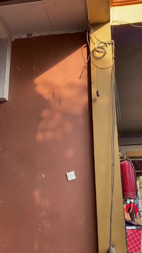 Gypsum Installation Guide for Interior Design Projects