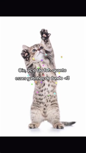 Cute Kittens: The Adorable Creatures You Can't Resist