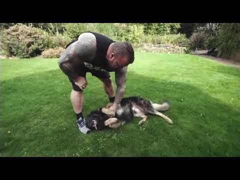 Eddie Hall Training His Protection Dog Wolf | TOTAL K9 Elite Protection Dogs