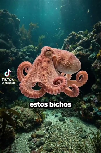 alien del océano #cabina #humor #cesar #memes