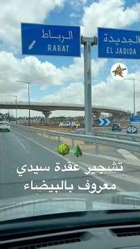 🌳🌲تشجير عقدة سيدي معروف بالبيضاء