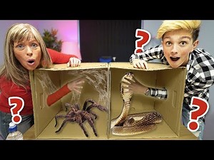 What's in the BOX Challenge!!!!!!! (ANIMALS)