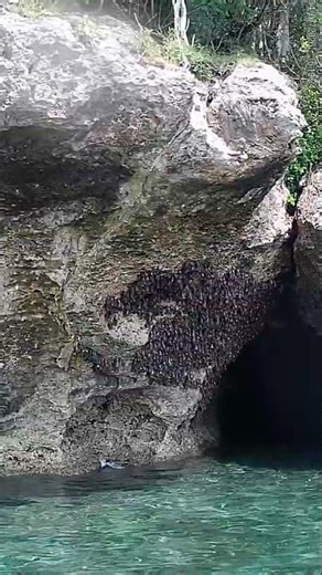 Exploring the Bat Cave, Pulau Menjangan, Indonesia, One Life Adventures from Christian F. 🦇