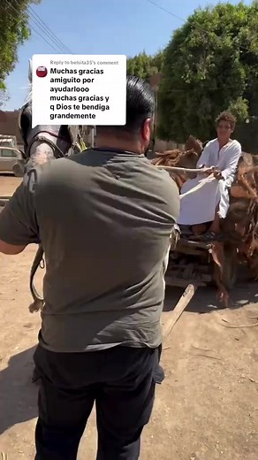 H.N.S. Rescue horse rescue United States