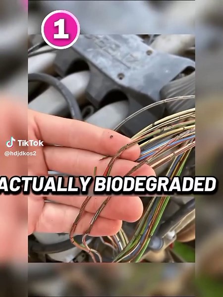 Top Worst Car Failures Everyone Should Know