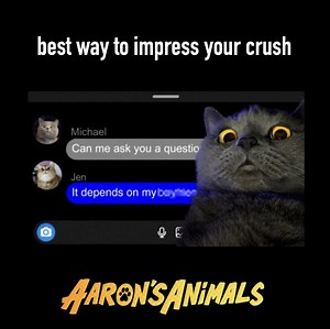 devastating news today. anyone ever have crush only to find that crush have crush? | Aaron's Animals