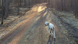 Finding peace while running at Mead Wildlife Area