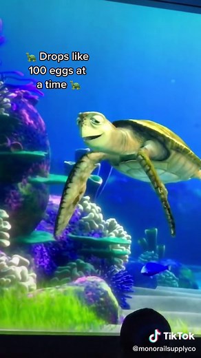 The ending is hilarious! Turtle Talk With Crush #turtletalkwithcrush #disney