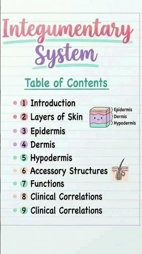 overview of the integumentary system