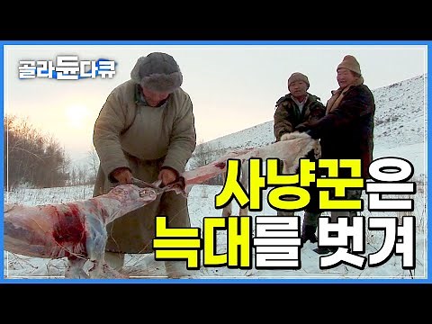 전설의 사냥꾼조차 애먹게 한 영민했던 늑대의 최후│몽골 늑대 사냥꾼│극한직업│#골라듄다큐