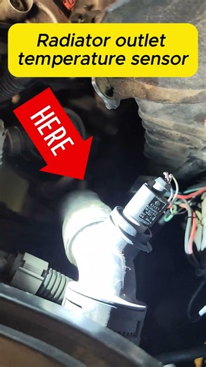 Audi Q7 4.2 FSI Radiator outlet temperature sensor #shorts #mechanic #diy