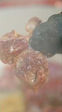 Delicious Way to Cook Goat Meat #hunting #cooking