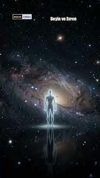 Beyniniz Bir Evren Mi? İnsan Beyni ve Kozmik Ağların Şaşırtıcı Benzerliği