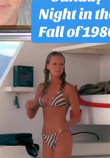 Reflecting on Sunday Night TV Shows of the 1980s