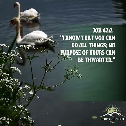 God’s Power Cannot Be Stopped | Job 42:2”