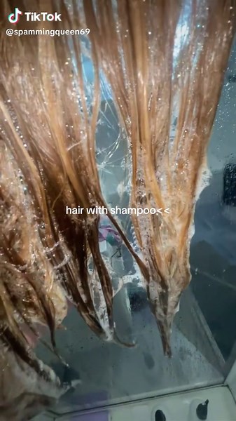 Shampoo vs Conditioner: Which is Best for Your Hair?