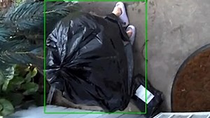 Thief gets crafty, wears garbage bag to steal package from porch