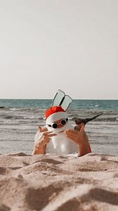 Santa Claus Summer Vacation Santa Claus Stock Footage Video (100% Royalty-free) 3810254539 | Shutterstock