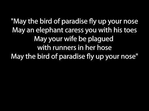 May the Bird of Paradise Fly Up Your Nose by Little Jimmy Dickens lyric video