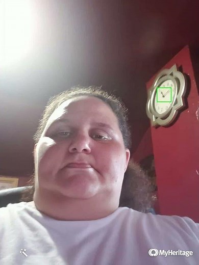 face verification video