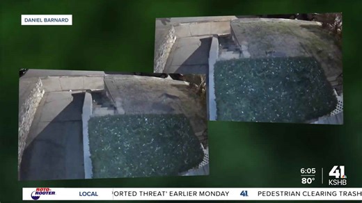 Kansas City neighbor warns dog owners after coyote sightings