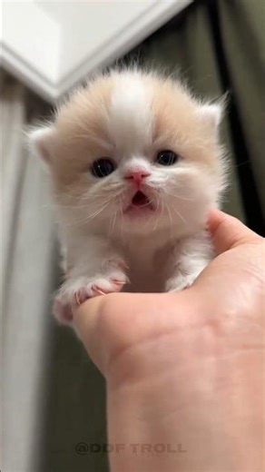 Amazing Animal Growth transformation! 💀