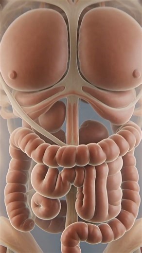 What Happens Inside Your Body When You Drink Milk?