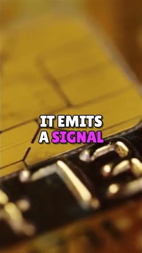 How Bank Cards Actually Work... #shorts #thenutshell #everythingexplained