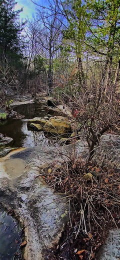 #hiking #nature #mountain #naturetherapy #naturevibes | Hiking