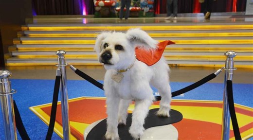 Krypto the Superdog returns in 4 new shorts with Superman movie release