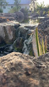 27K views · 7.1K reactions |  ⛲️ | Garden Answer | Facebook