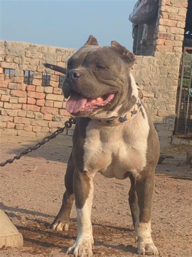 Cómo descongelar tu cuenta de creador: consejos útiles