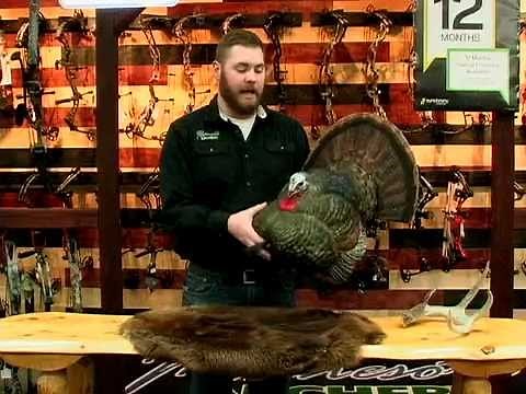 Avian X LCD Strutter Tom Turkey Decoy Product Review by MINNESOTA ARCHERY