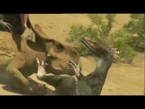 A Epic Battle of Velociraptor vs Protoceratops