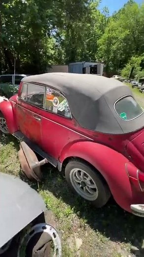 VW Beetle Convertible Barn Find Rescue - Salvage Yard - Junkyard Beetle - Classic Convertible - DIY