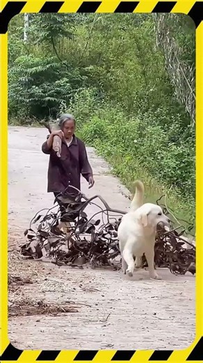 I Can't Stop Crying.😭 Do You Feel This Pain?💔