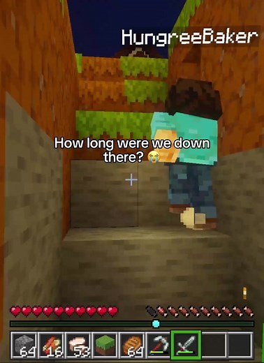 We Never Played Again — Minecraft Farewell Clip