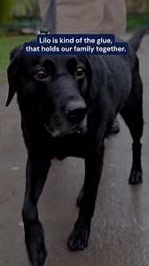 In a busy, multi-generational home, Lilo is the glue that brings everyone together. With one waggy tail, she turns disagreements into smiles, and makes the whole family happier. Pooch & Mutt - For all chapters & tails. | Pooch & Mutt