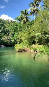River cruise 🚢 in Bohol Philippines 🇵🇭 | Island Hopper TV