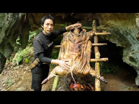 The Journey Of Tracing, Trapping And Hunting Has Ended, Very Large Pig Has Been Harvested By Sumatra