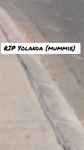 Vincy (@vincentmatthews68)’s videos with Good Memories - Cochren & Co.